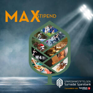 MAX-Stipend